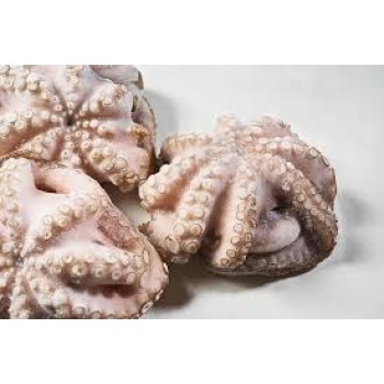 Polpo