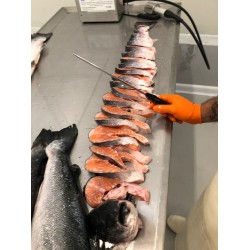 Salmone lavorato a tranci
