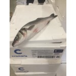Branzino