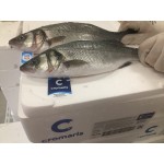Branzino