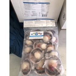 Capesante mezzo guscio