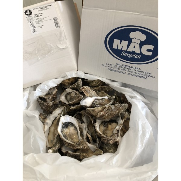 ostriche mezzo guscio