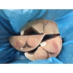 Pesce spada lavorato