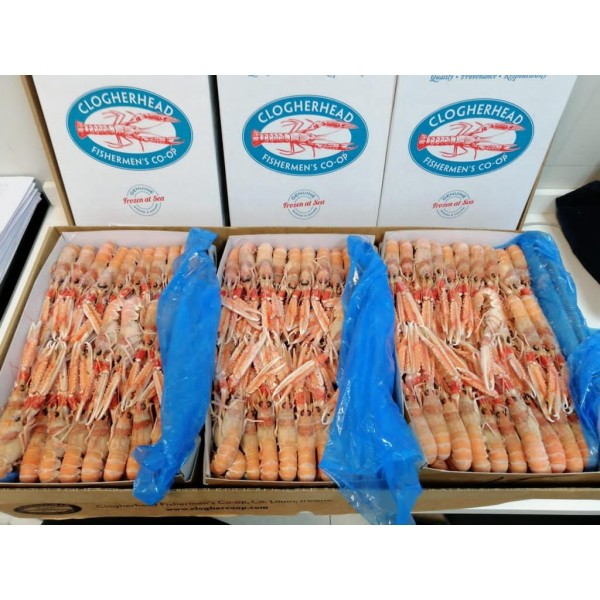 Scampi interi congelati a bordo